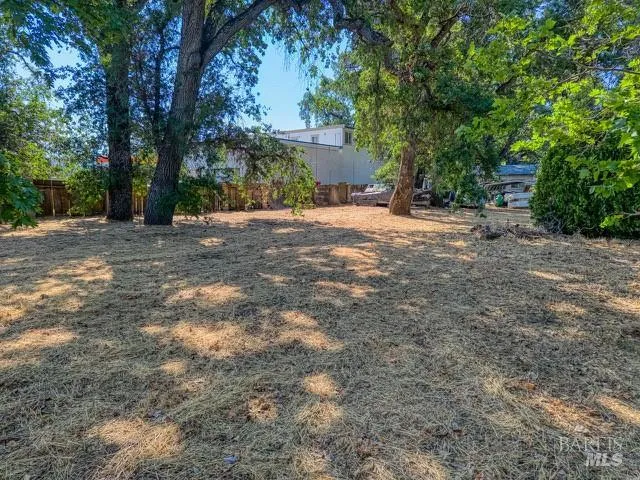 a view of a yard with a tree