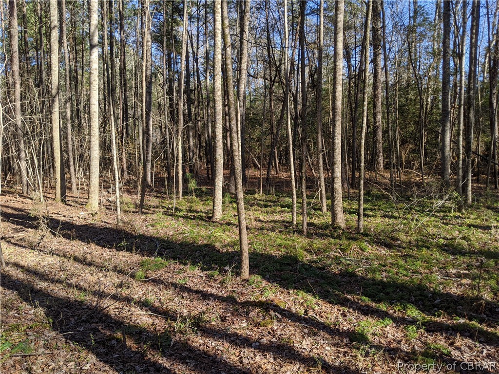 2 Chestnut Fork Road Gloucester, VA 23061 - Photo 6 of 11