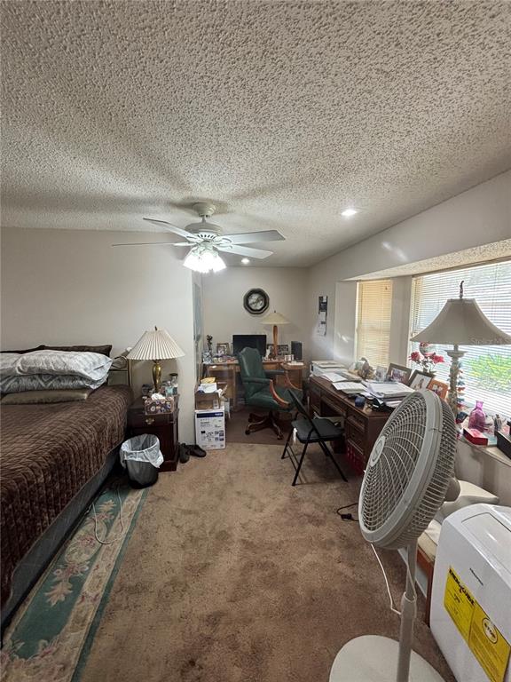 13232 Blissfield Road Odessa, FL 33556 - Photo 34 of 35