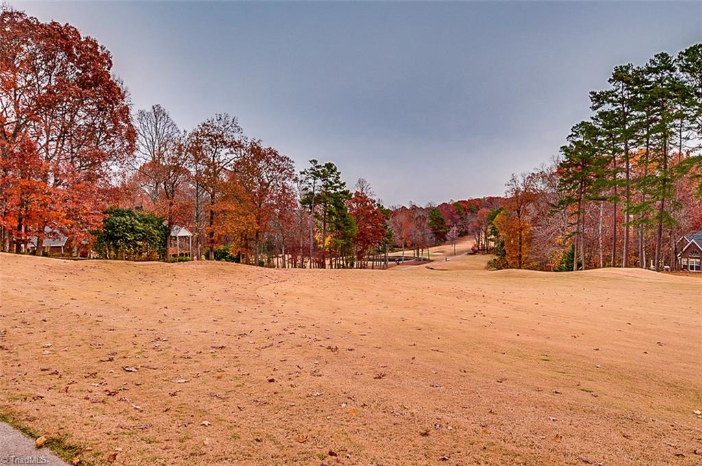 542 Pinewood Road Asheboro, NC 27205 - Photo 30 of 30 Gallery Image 30