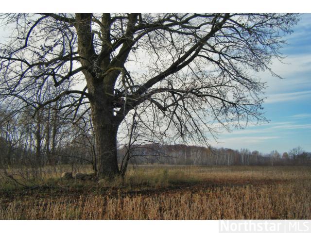 Tract A Red Oak Road Staples, MN 56479 - Photo 1 of 1 Gallery Image 1