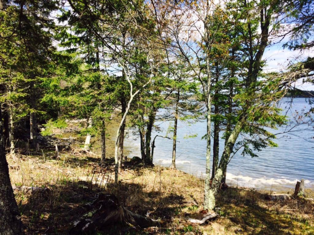 526 Leighton Point Road Pembroke, ME 04666 - Photo 12 of 19 Photo