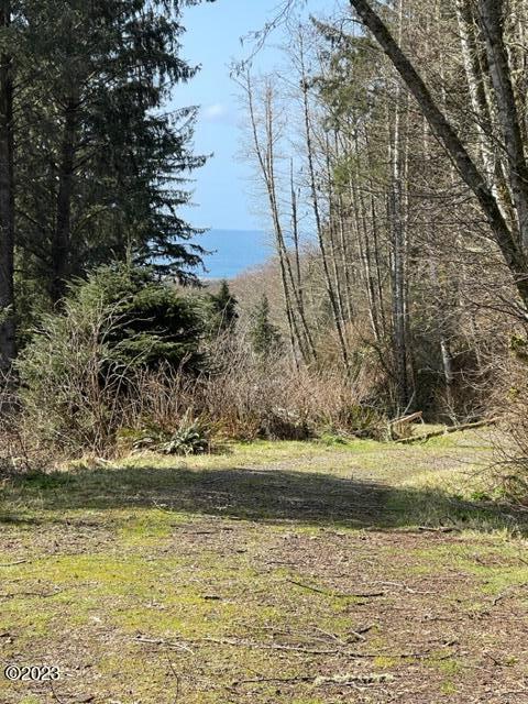 501 Brooten Hill Road Pacific City, OR 97135 - Photo 18 of 18 view from entry road