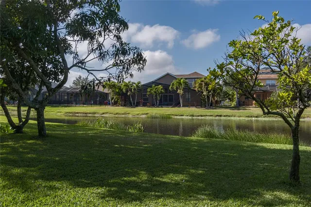a backyard of a house with plants and large tree