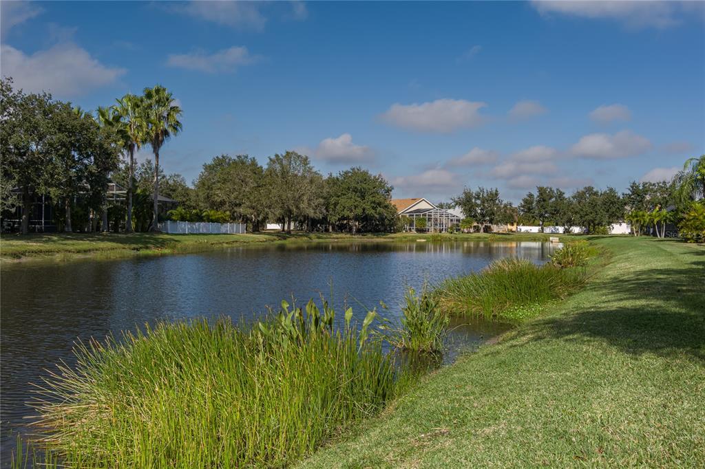 4420 85th Ave Circle East Parrish, FL 34219 - Photo 39 of 40 a view of a lake with houses in the back