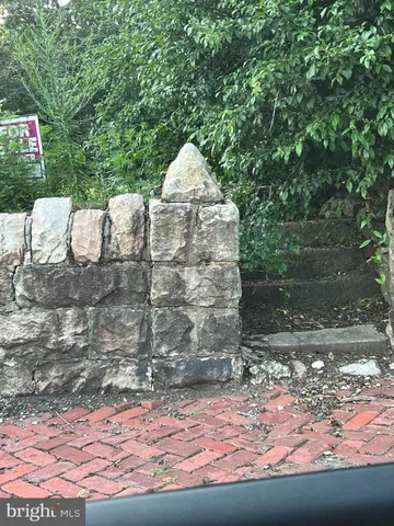 a view of a yard with plants and large trees