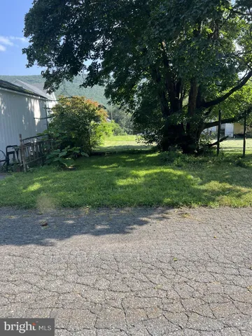 a view of a yard with large trees