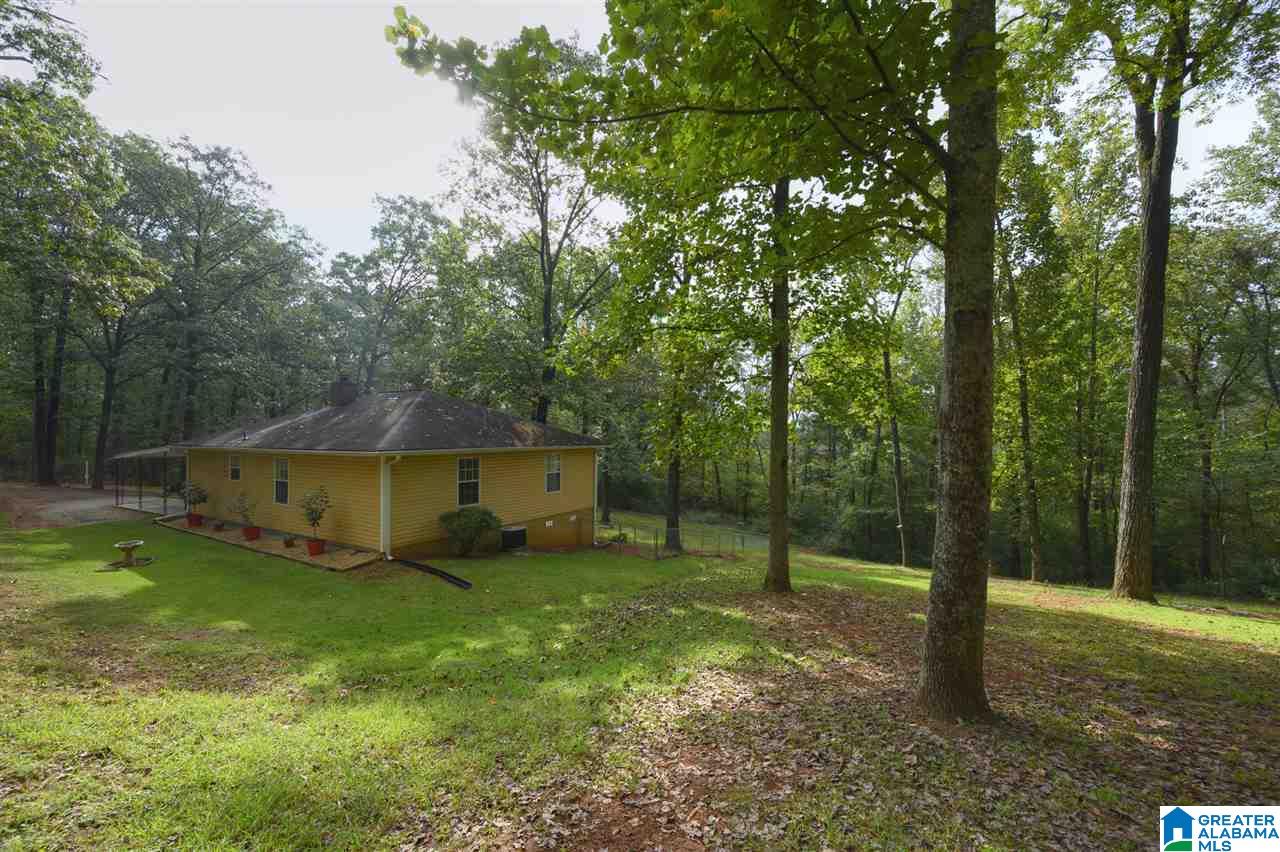 6125 Mountain Ridge Road Trussville, AL 35173 - Photo 4 of 28