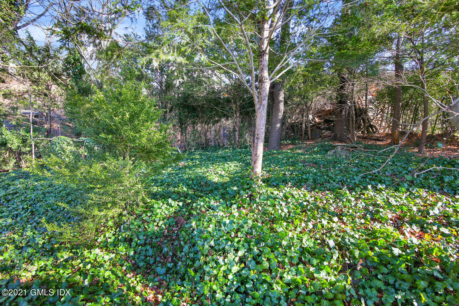 17 Pemberwick Road Greenwich, CT 06831 - Photo 17 of 21 17 Pemberwick Rd Greenwich CT-large-033-