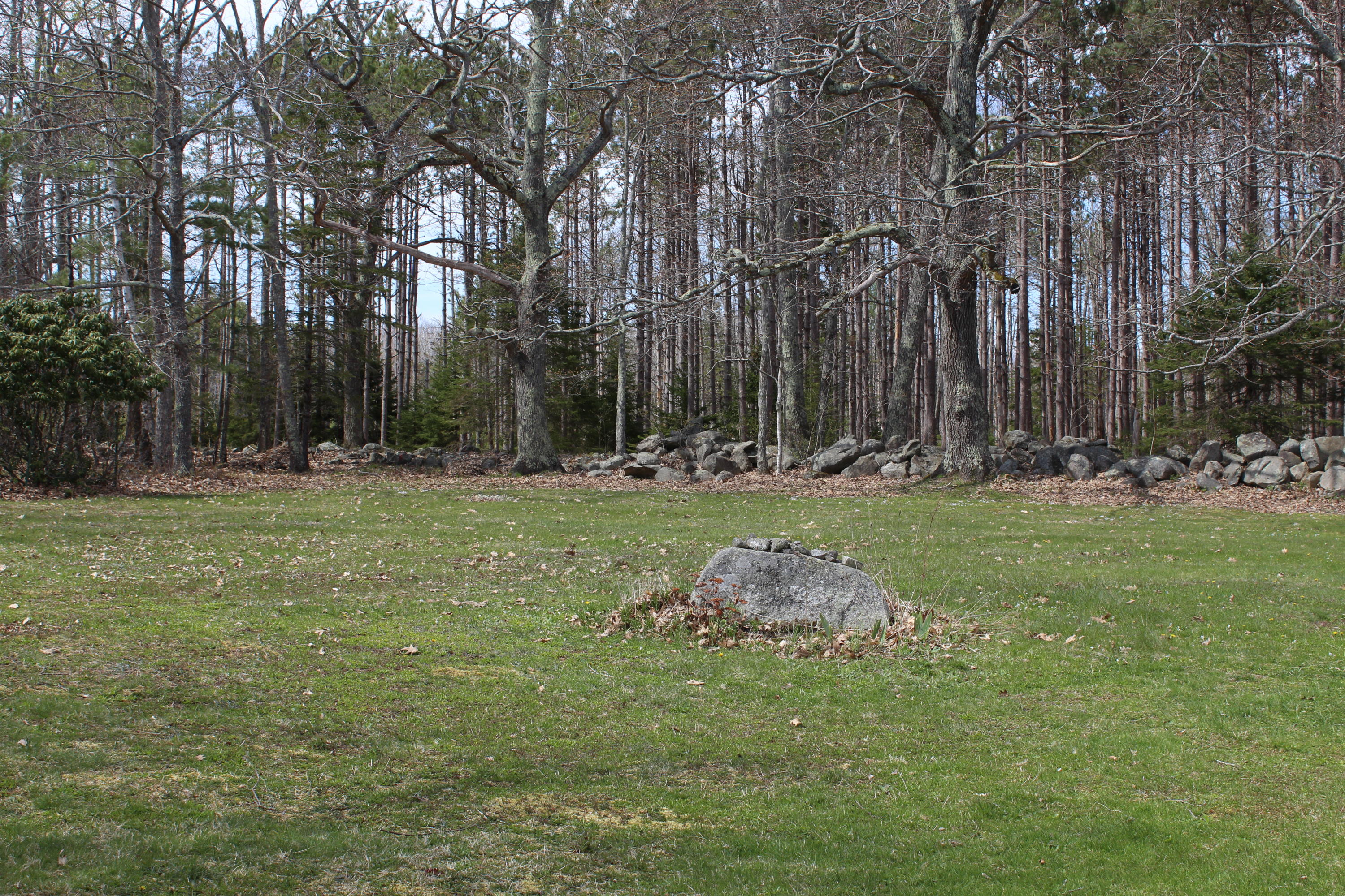 523 Southern Bay Road Penobscot, ME 04476 - Photo 25 of 27 yard