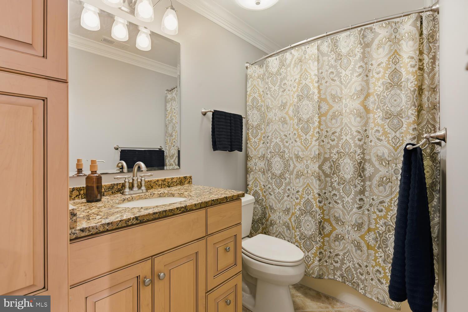 25706 Edgeview Road Royal Oak, MD 21662 - Photo 30 of 31 a bathroom with a granite countertop sink a toilet and a mirror