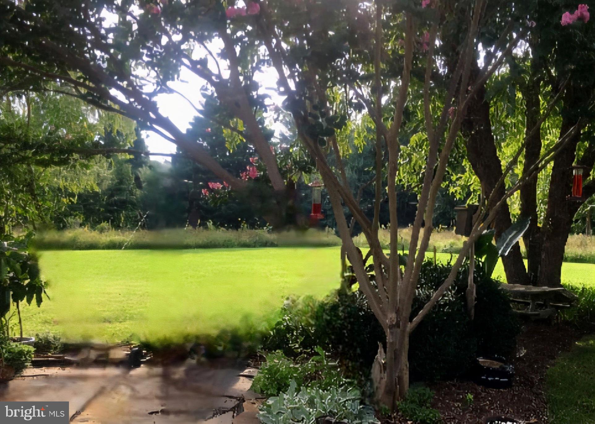 25706 Edgeview Road Royal Oak, MD 21662 - Photo 5 of 8