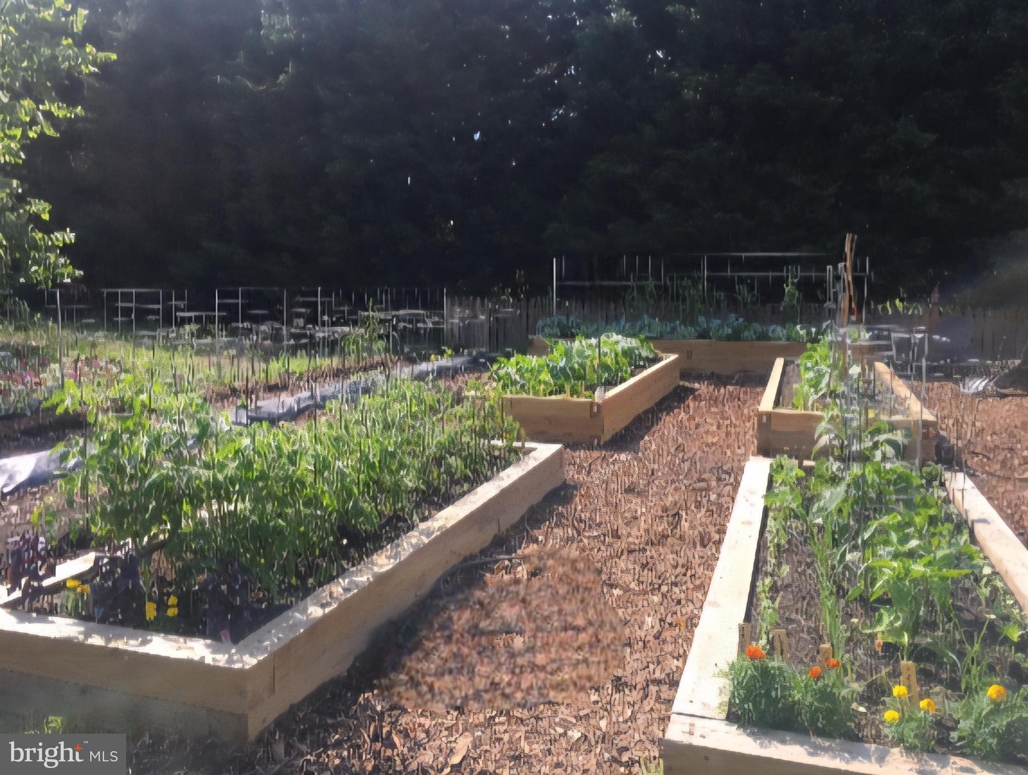 25706 Edgeview Road Royal Oak, MD 21662 - Photo 6 of 8