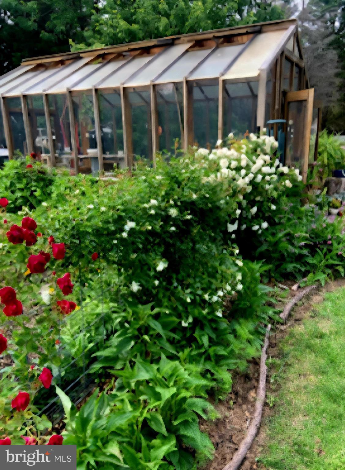 25706 Edgeview Road Royal Oak, MD 21662 - Photo 7 of 8