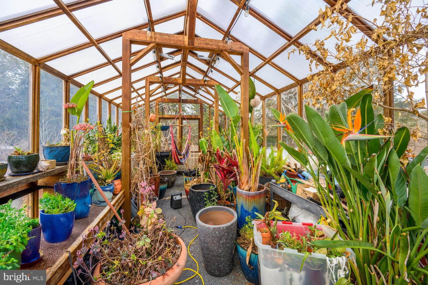 25706 Edgeview Road Royal Oak, MD 21662 - Photo 9 of 31 a room with lots of flowers and flowers
