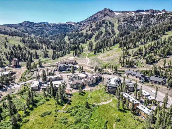 a view of a lush green field