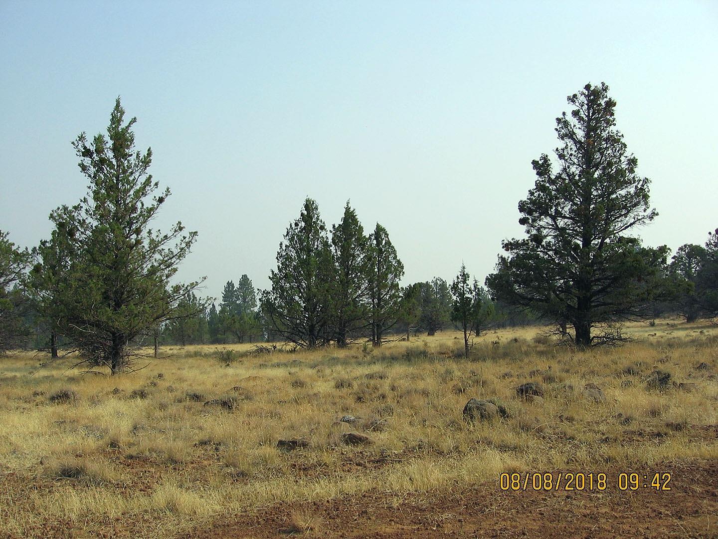 1000 Knollcrest Road Klamath Falls, OR 97603 - Photo 2 of 23 Additional Photo