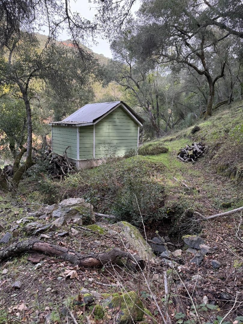 14715 Uvas Road Morgan Hill, CA 95037 - Photo 11 of 11 a backyard of a house with lots of plants and trees