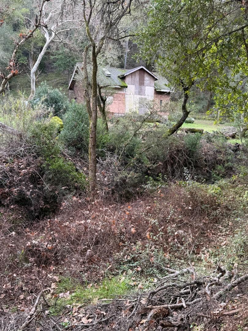 14715 Uvas Road Morgan Hill, CA 95037 - Photo 9 of 11 a view of a large trees in a yard