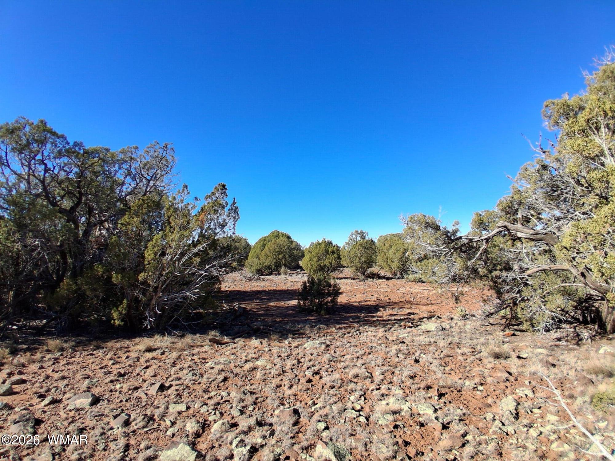 202 County Road Concho, AZ 85924 - Photo 3 of 5