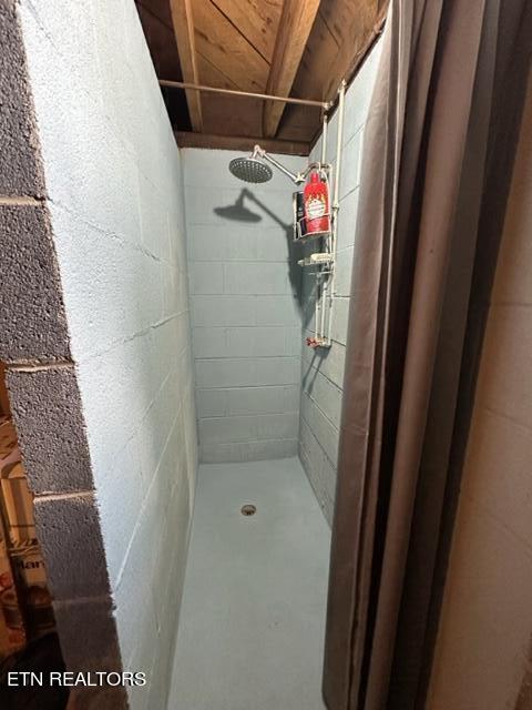 22221 Wilderness Road Rose Hill, VA 24281 - Photo 57 of 57 shower in basement