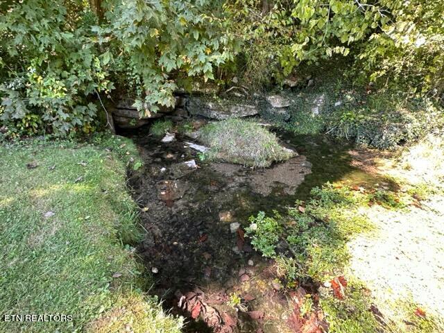 22221 Wilderness Road Rose Hill, VA 24281 - Photo 10 of 57 Fresh Water Spring.