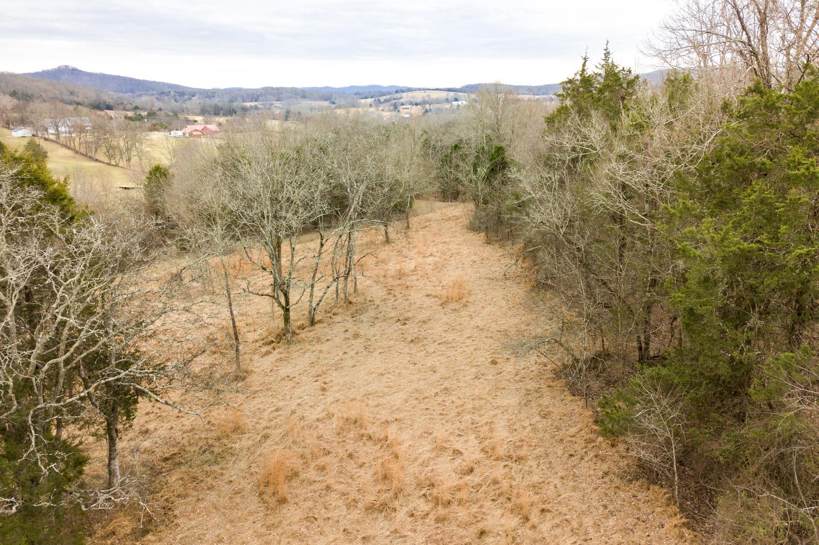 0 Vantrease Road Brush Creek, TN 38547 - Photo 8 of 11 Gallery Image 8