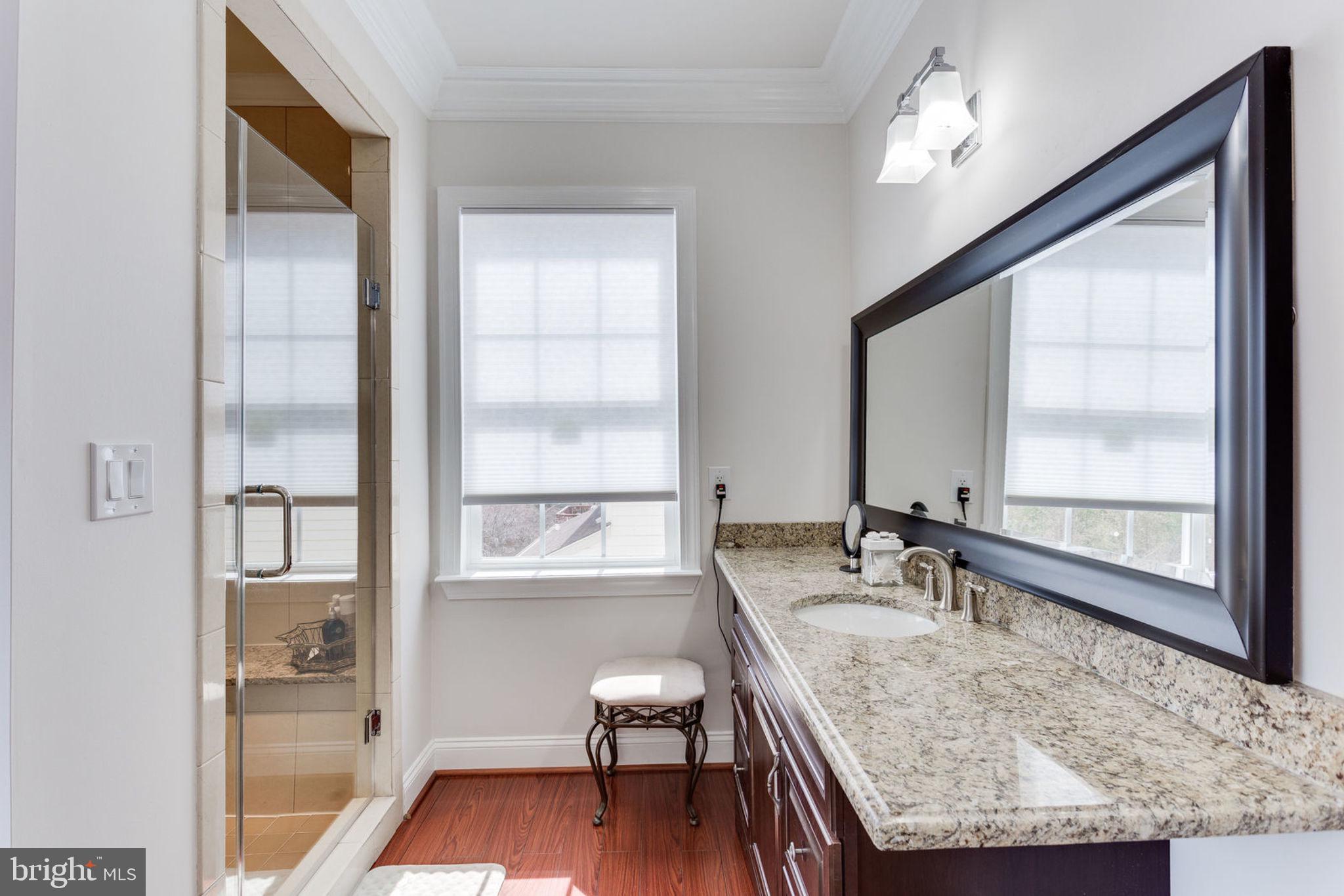 6093 Deer Ridge Trail Springfield, VA 22150 - Photo 42 of 57 Master Bath