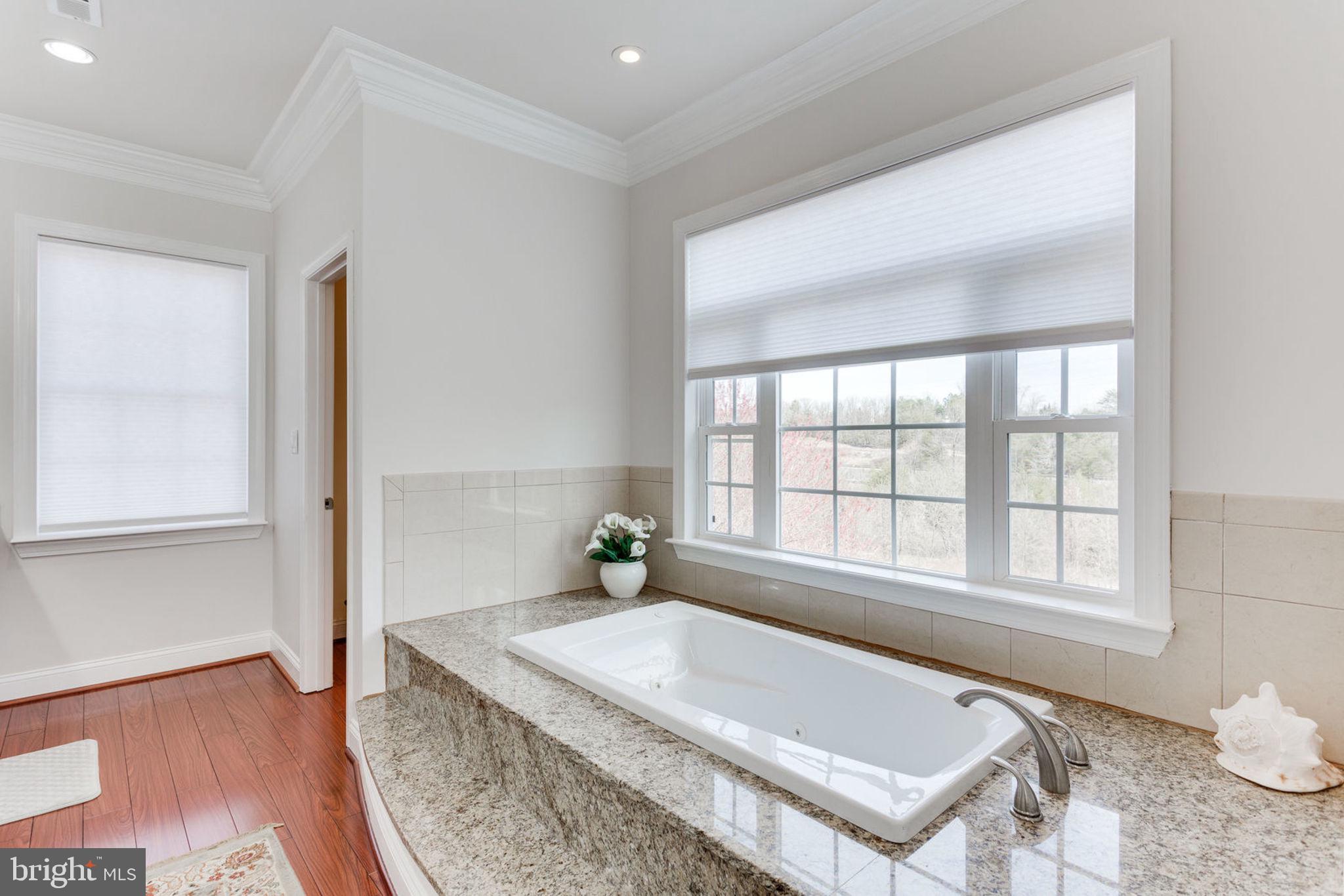 6093 Deer Ridge Trail Springfield, VA 22150 - Photo 43 of 57 Master Bath