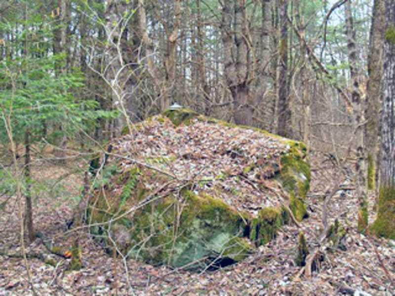 102 South Stagecoach Road Dover-Foxcroft, ME 04426 - Photo 34 of 35 Yard/Garden.