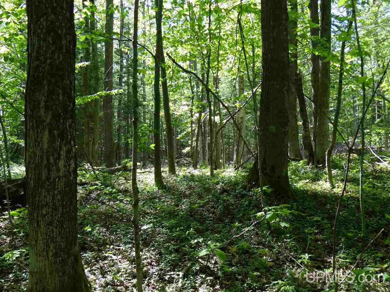 Tbd West Heinola Road Atlantic Mine, MI 49931 - Photo 5 of 17