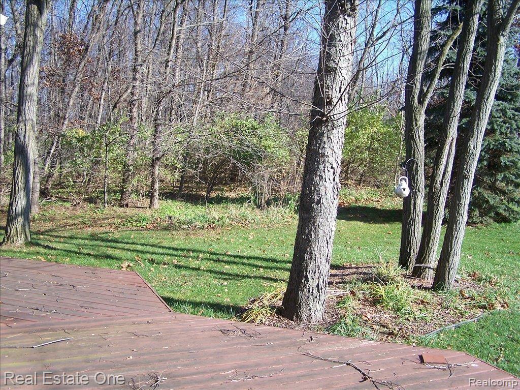 11055 Tree Line Drive Pinckney, MI 48169 - Photo 4 of 25 back yard pic 2
