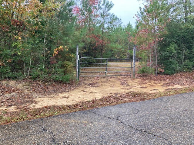 0 East Lewiston Road Kentwood, LA 70444 - Photo 3 of 26 Photo 3