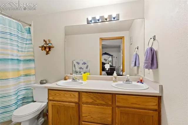 a bathroom with a sink a toilet and mirror