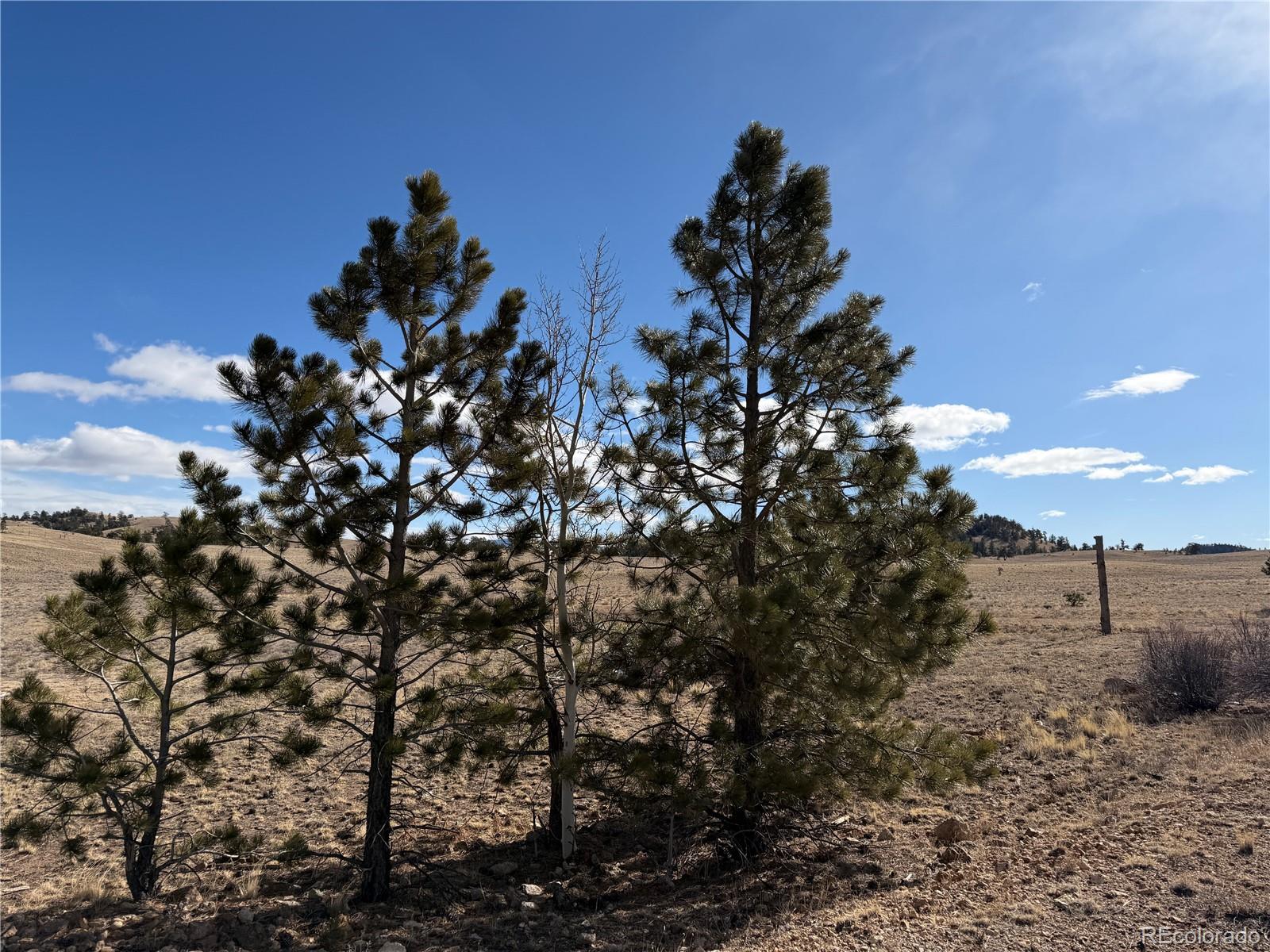 Apalachee Trail Hartsel, CO 80449 - Photo 14 of 18