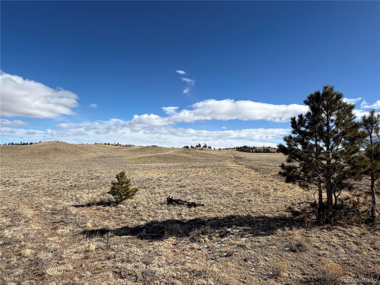 Apalachee Trail Hartsel, CO 80449 - Photo 5 of 18