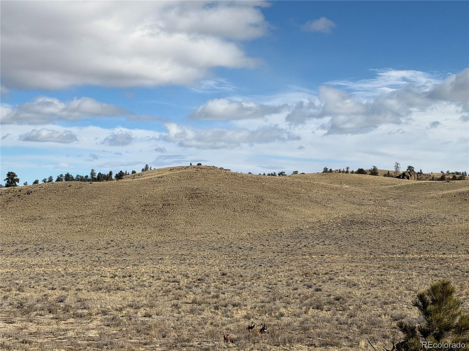 Apalachee Trail Hartsel, CO 80449 - Photo 6 of 18