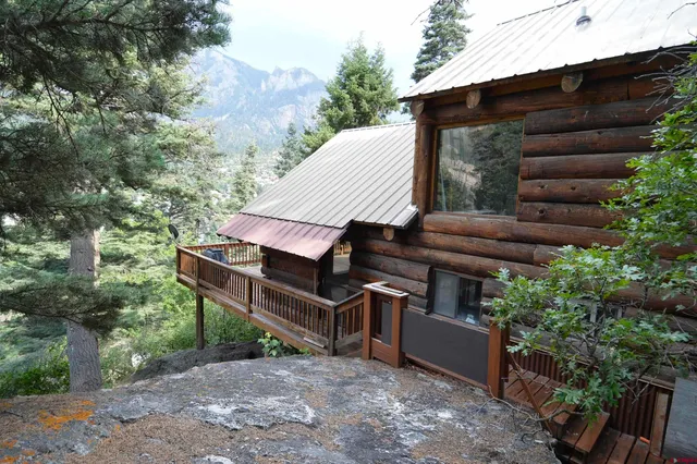 a view of a yard with plants and trees