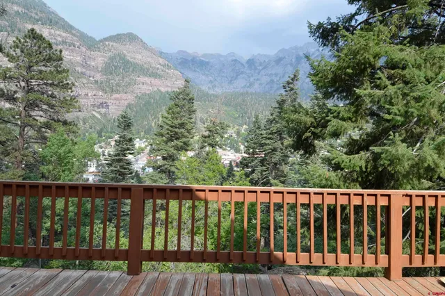 a large tree sitting in front of a house with large trees