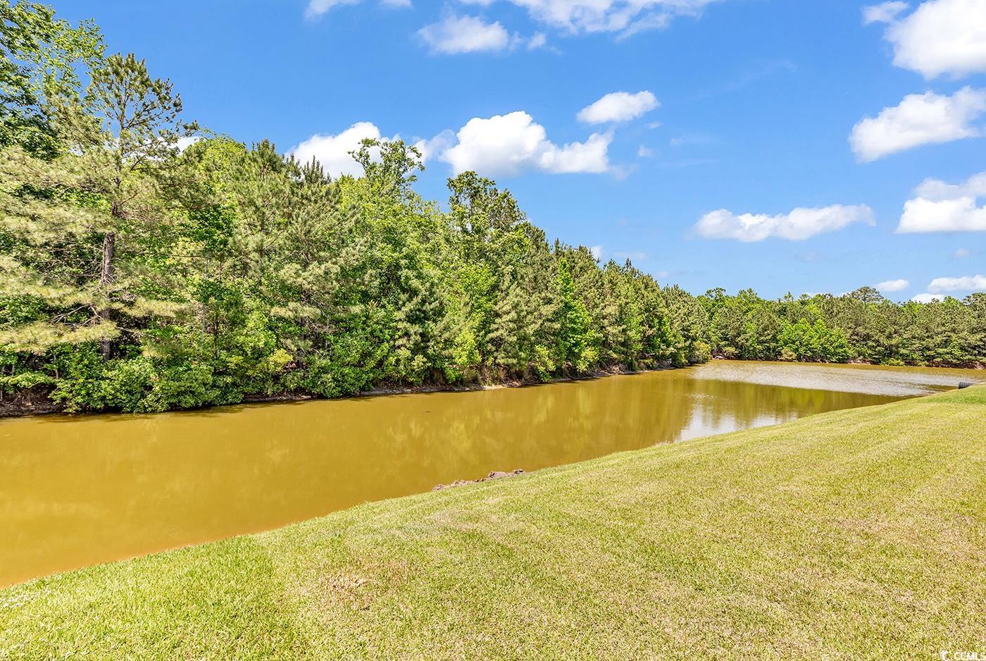389 Barton Loop Myrtle Beach, SC 29579 - Photo 32 of 40 View of water feature featuring a forest view