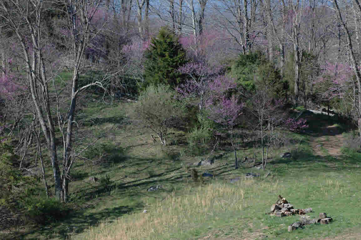 Lot D Springdale Road Pearisburg, VA 24134 - Photo 7 of 10 Gallery Image 7