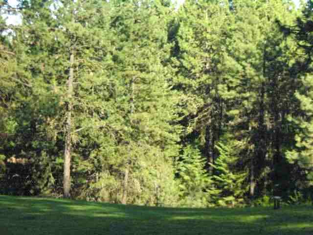 19615 South Yale Road Valleyford, WA 99036 - Photo 1 of 6