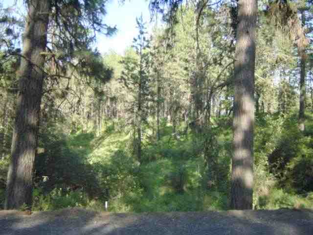 19615 South Yale Road Valleyford, WA 99036 - Photo 3 of 6