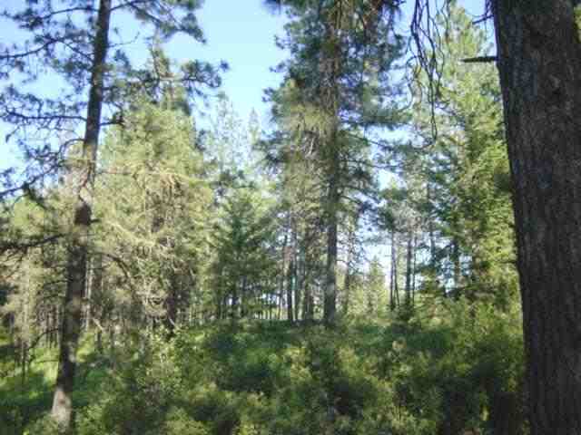 19615 South Yale Road Valleyford, WA 99036 - Photo 4 of 6