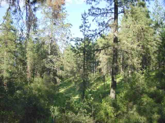 19615 South Yale Road Valleyford, WA 99036 - Photo 5 of 6
