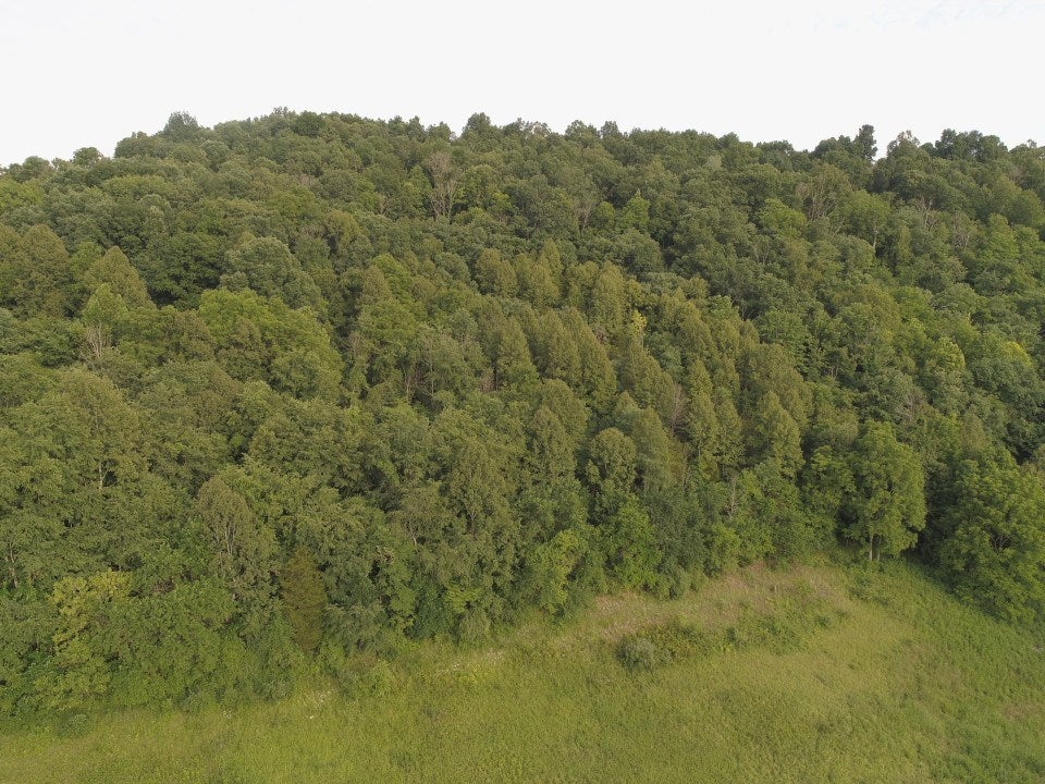Tbd Cedar Branch Road Saltville, VA 24370 - Photo 19 of 41 Gallery Image 19