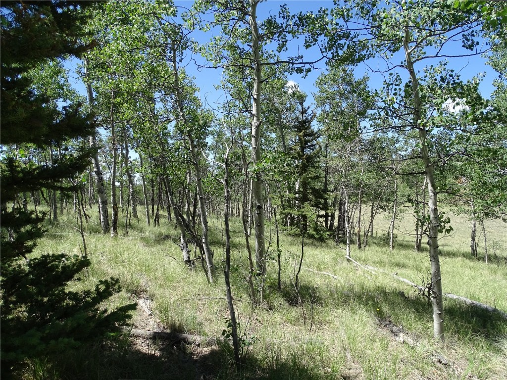 782 Bow String Road Como, CO 80456 - Photo 12 of 22