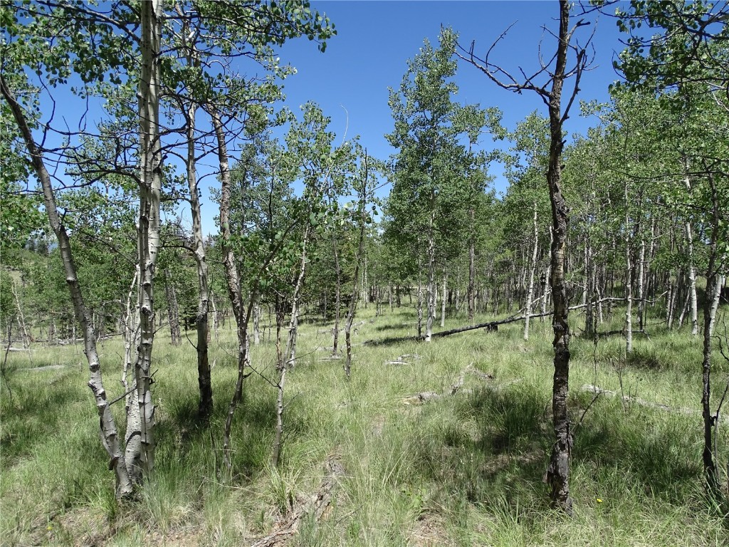 782 Bow String Road Como, CO 80456 - Photo 17 of 22 a view of yard