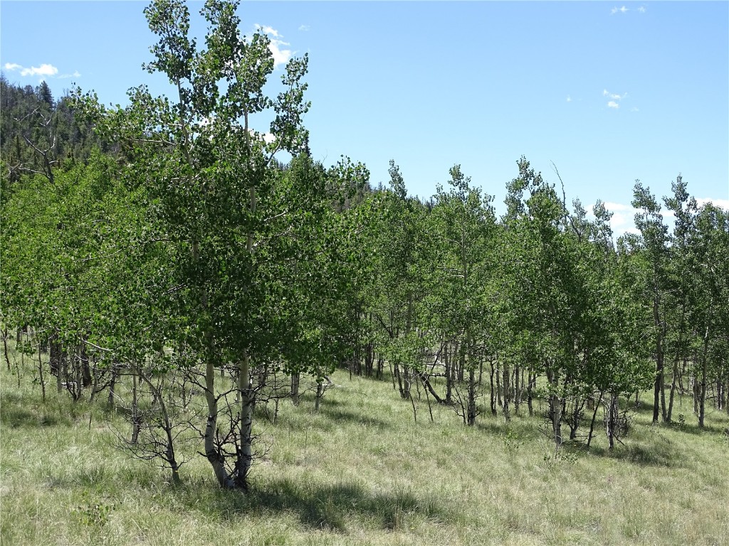 782 Bow String Road Como, CO 80456 - Photo 20 of 22 a view of a field of grass and trees