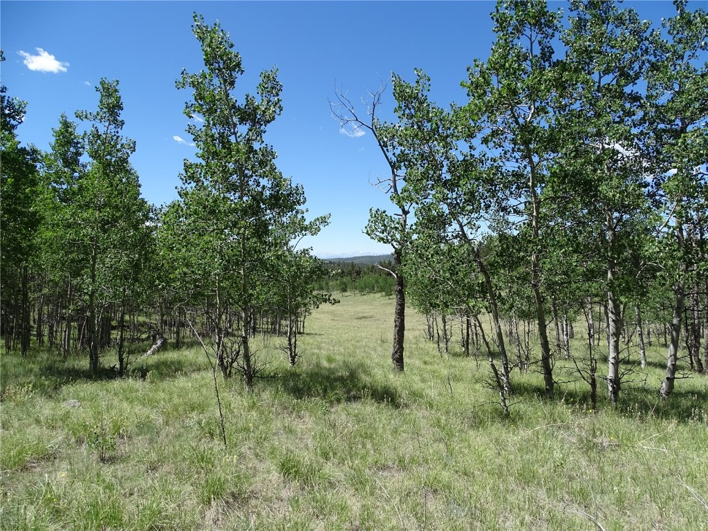 782 Bow String Road Como, CO 80456 - Photo 2 of 22 a big yard with lots of green space and deers